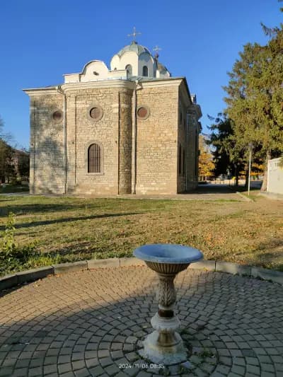 Луковит