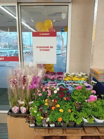 T MARKET