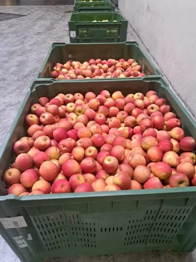 Italian fruits Склад за Италиански Ябълки