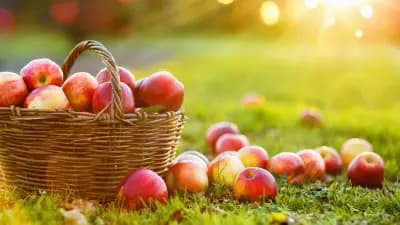 Italian fruits Склад за Италиански Ябълки