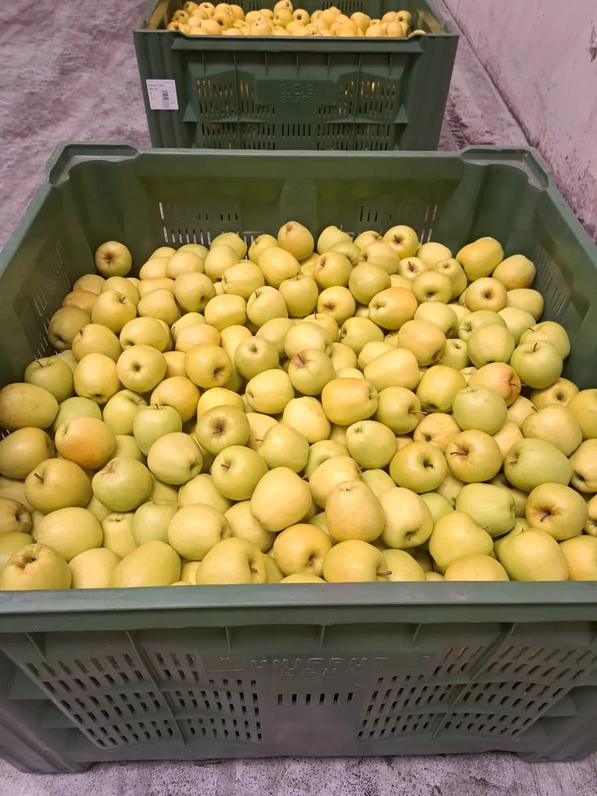 Italian fruits Склад за Италиански Ябълки