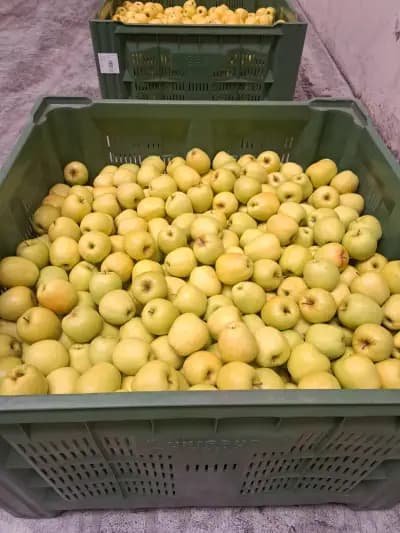 Italian fruits Склад за Италиански Ябълки
