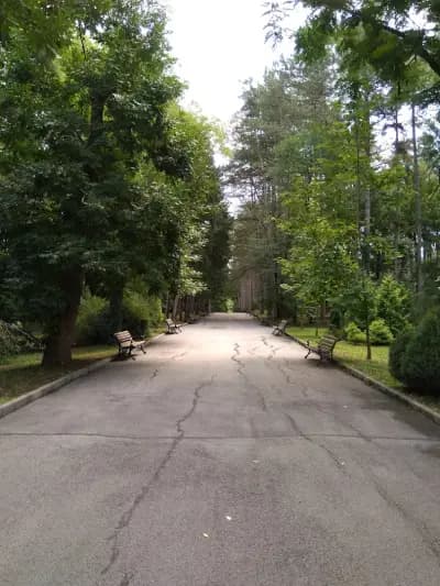 Градска градина