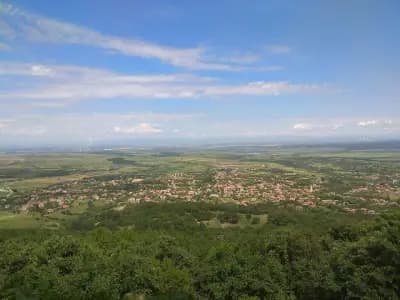 Винарска Изба Заара