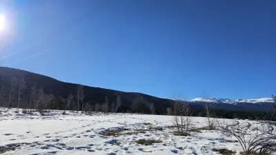 Резиденция за Спа Туризъм и отдих - Вила Бор