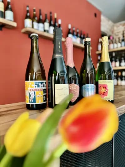Още Вино / More Wine