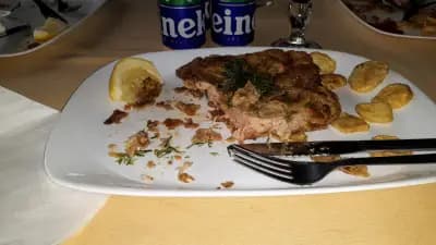 Комплекс Зелен свят