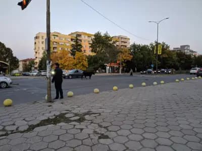АУТО ХИТ ООД