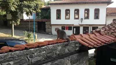 AKROPOL Grill & Fish Blagoevgrad ( Акропол )