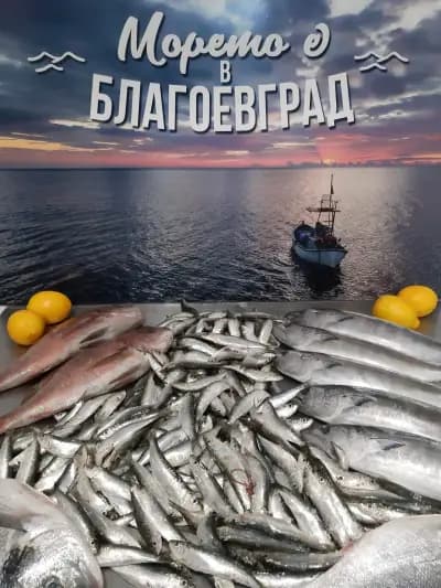 AKROPOL Grill & Fish Blagoevgrad ( Акропол )