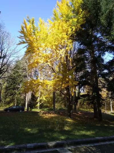 Добруджански земеделски институт