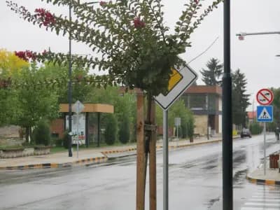 Христо Смирненски