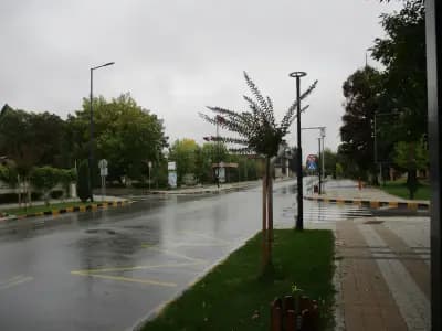 Христо Смирненски