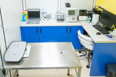 OTTOVET Ветеринарна клиника