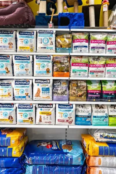 OTTOVET Ветеринарна клиника