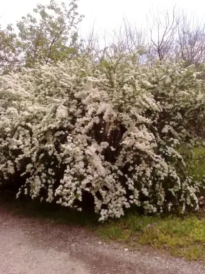 Детски център Capella Play Mall Varna