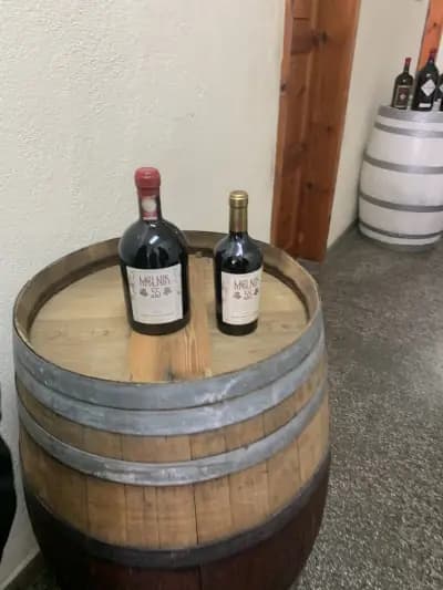 Logodaj Winery