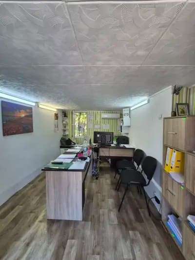 Mussala insurance broker