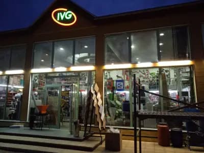 Et IVG-IvoGerov