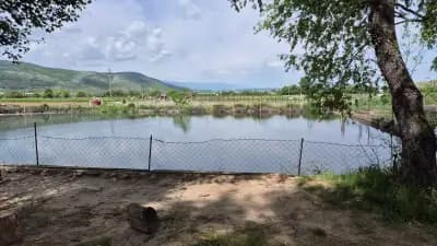 Рибарник при Ильо