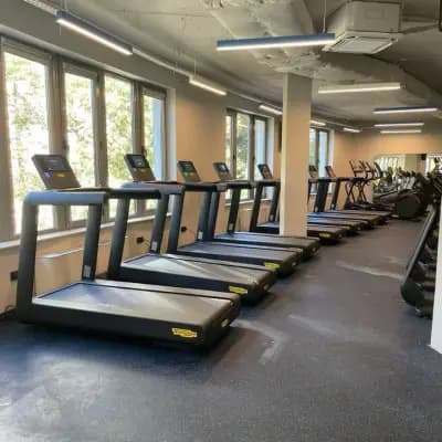 Next Level Fitness | Изток