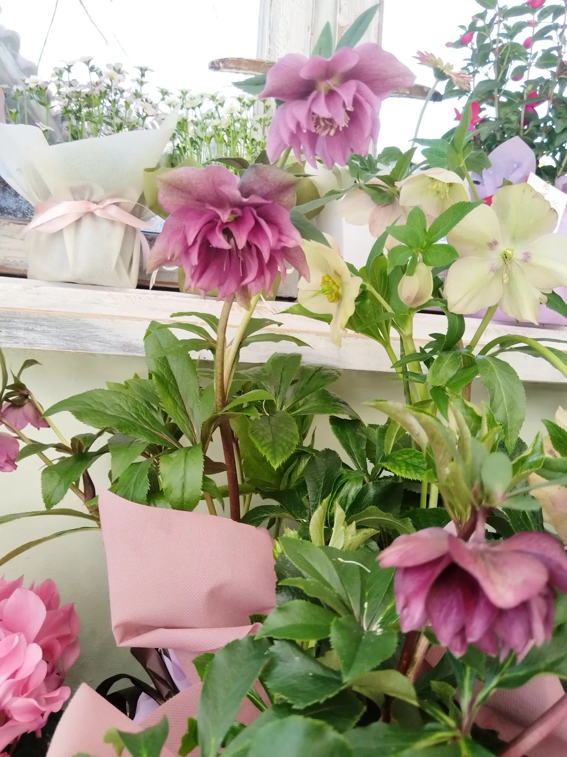 Цветарски магазин