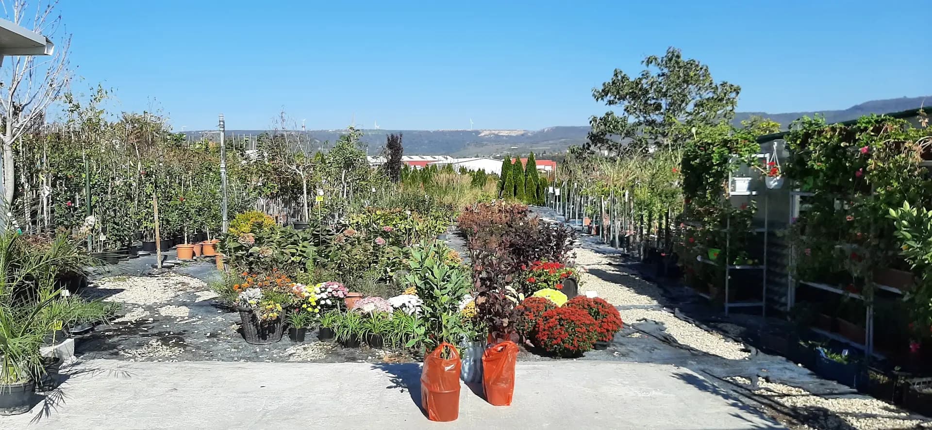 Garden centre "The big hill"