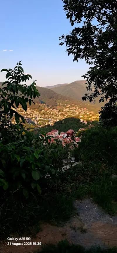 Пазар „Своге“