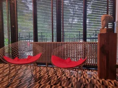 Domus Derma