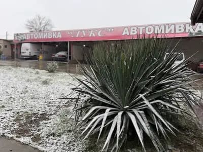 Автомивка "ЛУКС" гр.Карнобат