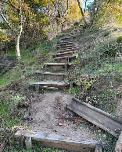 Света Богородица Спилеотиса