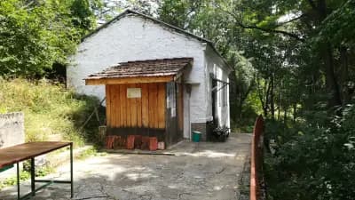 Аязмото