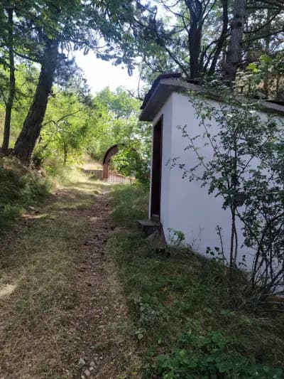 Аязмото