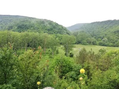 Алботински скален манастир