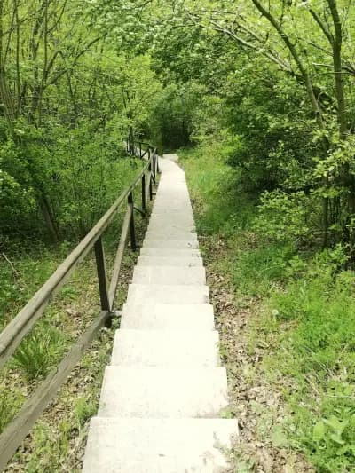 Алботински скален манастир