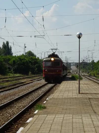 Павликени