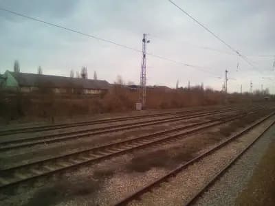 Павликени
