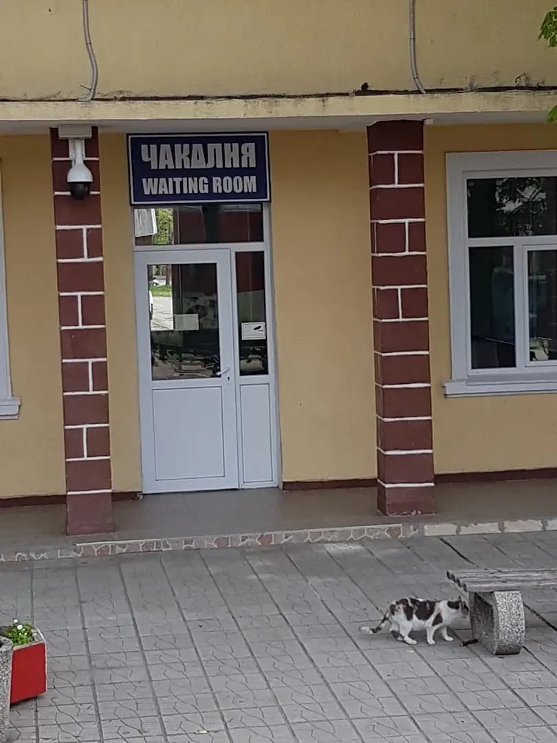 Павликени