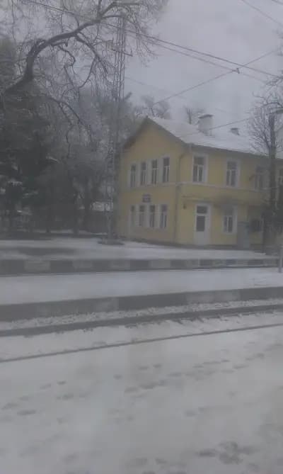 Павликени