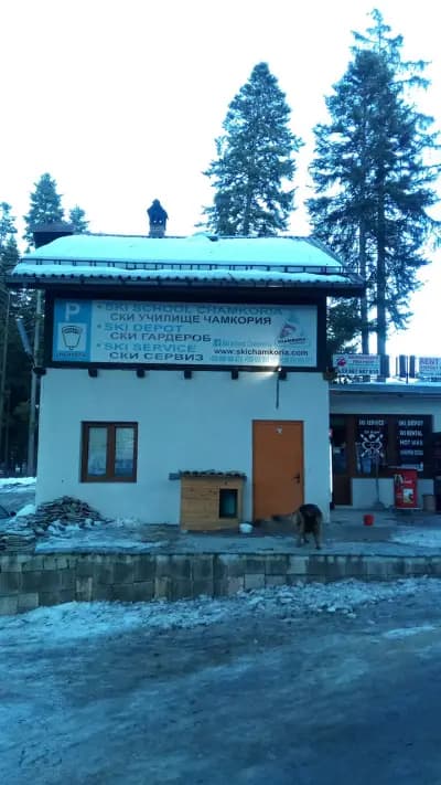 Транспортейшън БГ ООД