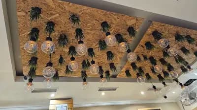 Green Coffee house
