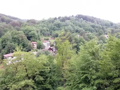 Вила ОРЛИЦА