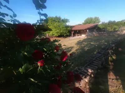 Guesthouse Kutsina