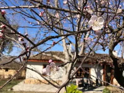 Старата Къща до водопадите и басейна