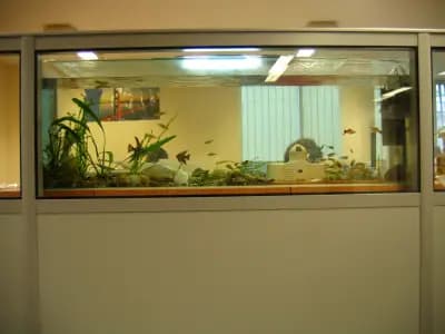 tbi bank