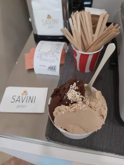 Savi