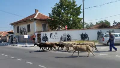 Пирянков арт-център