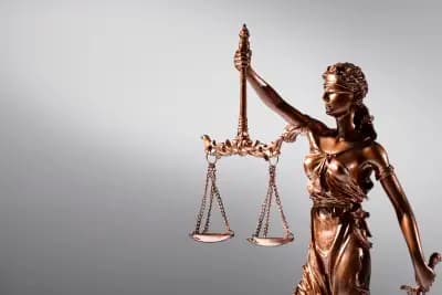 Адвокат Милена Георгиева