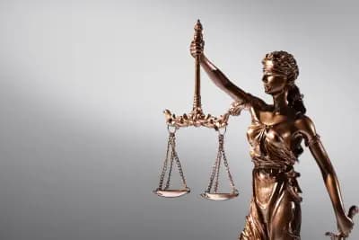 Адвокат Милена Георгиева