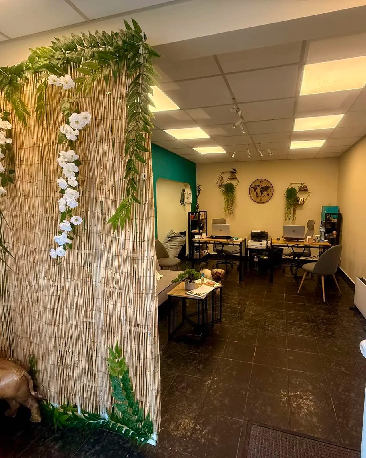 Momento – Туристическа Агенция | Екскурзии, Почивки, Пътувания по Цял Свят